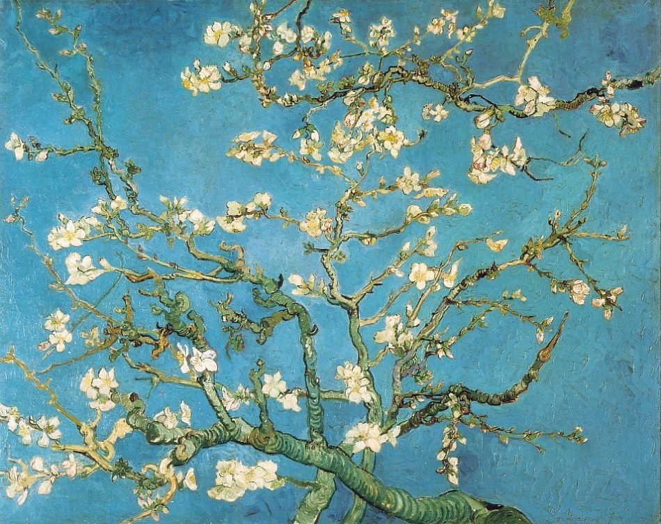 Almond Tree, Vincent Van Gogh,  1890