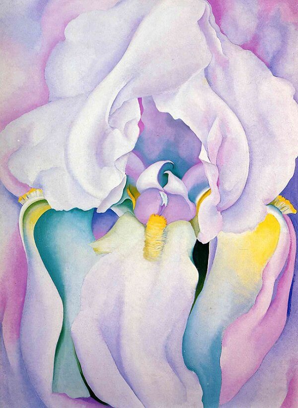 Light Iris, Georgia O’Keeffe, 1924